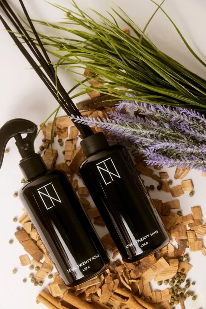 Level Twenty Nine Campaign Mobile